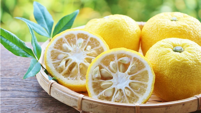 UMAJI YUZU